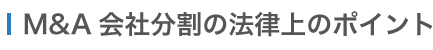 M&A　会社分割の法律上のポイント